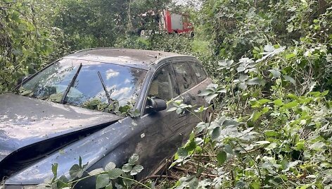 Medžiai užvertė automobilį Lenkijoje