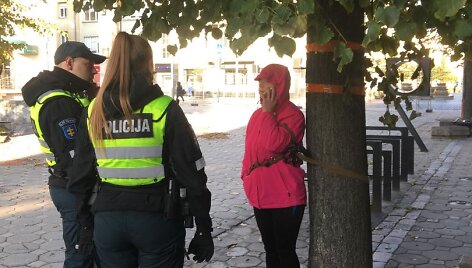 &Scaron;iauliuose medžių gynėjai ri&scaron;asi prie kamienų