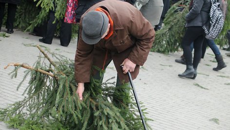 Šakų dalijimo akcija Panevėžyje