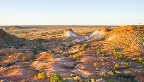 Kuber Pidis, Australija