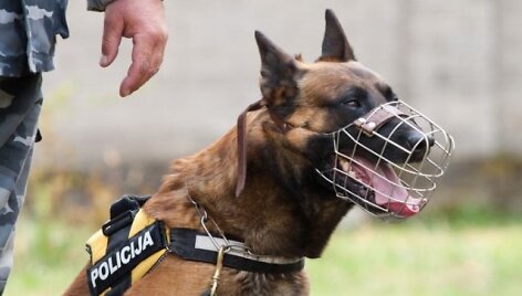 Policijos &scaron;uo