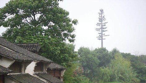 Ne medis - tai yra mobiliojo ry&scaron;io antena &copy;Fabian Horst (CC BY-SA 4.0) | commons.wikimedia.org