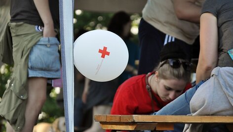 Festivalio &bdquo;Sūpynės 2012&ldquo; akimirka