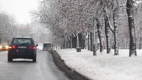 Žiemiški orai vis labiau įsitvirtina.