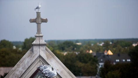 Palangos Švč. Mergelės Marijos Ėmimo į dangų bažnyčia