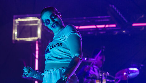 Fever Ray
