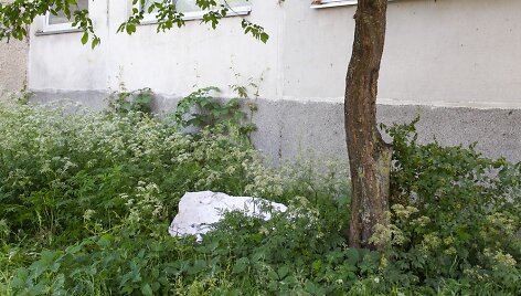Asociatyvi nuotrauka