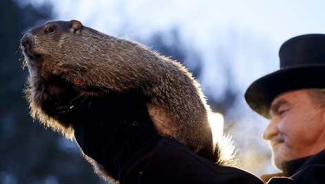 JAV švilpikas Philas pamatė savo šešėlį ir prognozuoja ilgą žiemą