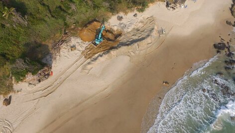 Australijos paplūdimyje, baiminantis ryklių, buvo i&scaron;kasta banginio maita