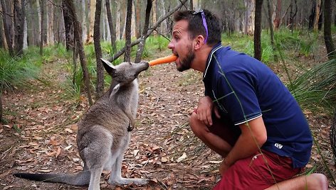 Karolis Žukauskas ir kengūra Australijoje