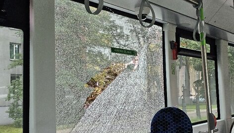 I&scaron;dužęs autobuso langas