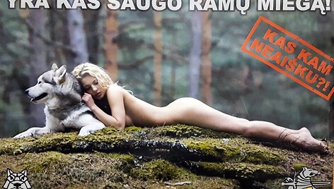 Karys.lt &bdquo;Facebook&ldquo; paskyroje paskelbta nuotrauka