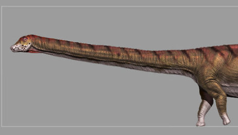 Patagotitan mayorum dinozauro rekonstrukcija