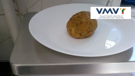 VMVT patikrinimas &Scaron;iaulių gimnazijoje