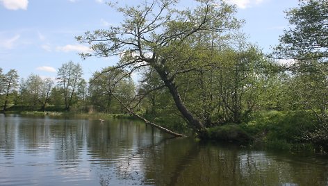 Vaizdai iš Danės upės