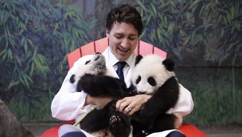 Kanados ministras pirmininkas Justinas Trudeau su pandų jaunikliais