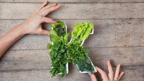 Vitaminas K
