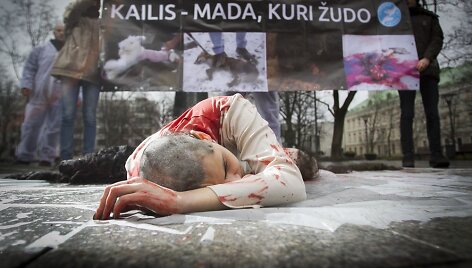 Protestuodama prie&scaron; kailių pramonės žiaurumą Milda paaukojo savo plaukus.