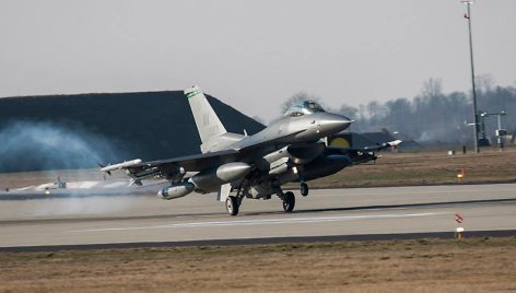 Naikintuvai F-16 ir kiti JAV lėktuvai jau Lenkijoje