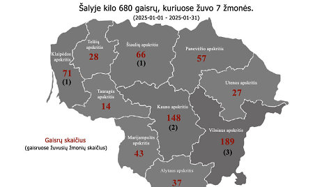 Gaisringumo statistika