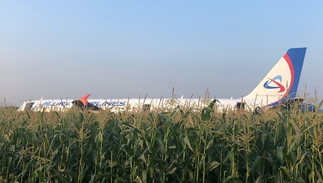 Rusijos oro bendrovės „Uralskie avialinii“ laineris „Airbus А-321“ be važiuoklės sėkmingai nusileido kukurūzų lauke.