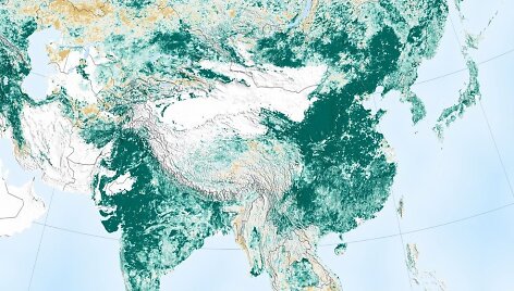 NASA sudarytas žemėlapis: kuo žalesnė spalva, tuo labiau toje vietovėje pagausėjo medžių per pastaruosius 20 metų