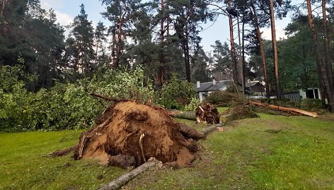 Trumpa, bet stipri audra nusiaubė Ignaliną ir jos apylinkes