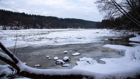 Saidės pažintinis takas