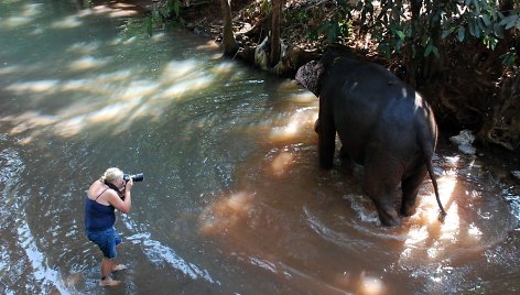 Kai kurie turistai užsisako asmeninę dramblio maudynių fotosesiją