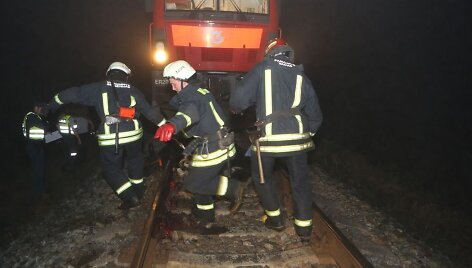 &Scaron;ilutės raj. traukinys mirtinai sužalojo karvę