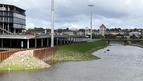 Nemuno sala