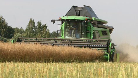 Joniškio rajone javų laukais rieda kombainai