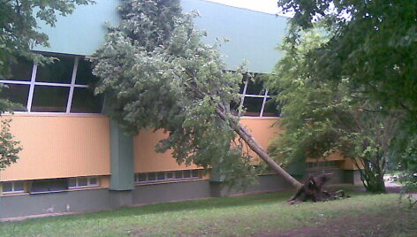 Utena po audros