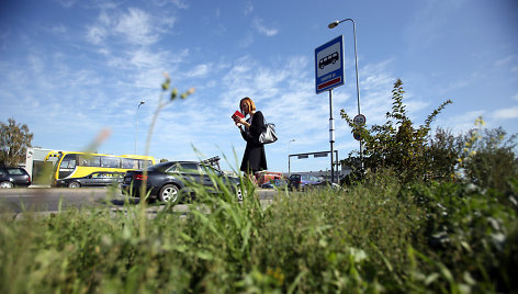 Viešojo transporto stotelė