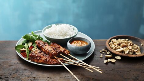 Vi&scaron;tienos SATAY