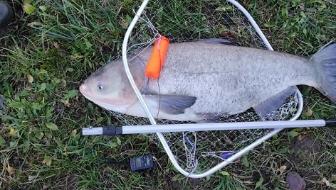 Kėdainietis žvejys sugavo savo gyvenimo žuvį: svėrė daugiau nei 18 kg