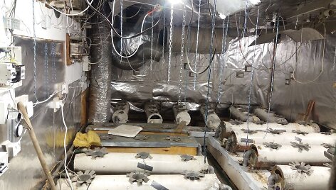 Kanapių auginimo laboratorija