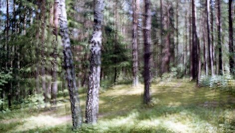 Juliaus Kur&scaron;io fotografija &bdquo;Skraistė&ldquo;.