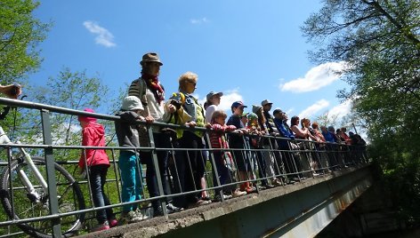 Nemokama pažintinė ekskursija Pavilnių regioniniame parke