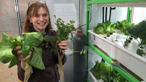 &bdquo;MIT CityFARM&ldquo; laboratorija