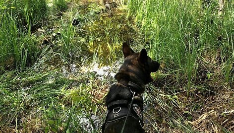 Kinologai su tarnybiniais &scaron;unimis