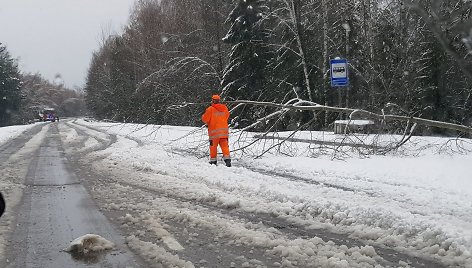 Gamtos išdaigos Šiaulių apskrityje