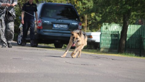 Policijos &scaron;unų mokymai
