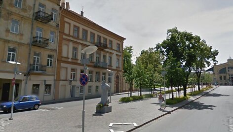 T.&Scaron;evčenkos paminklas Vilniuje