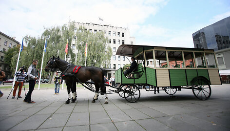 Arkliai Laisvės alėjoje