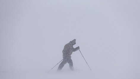 Pūga Kanadoje