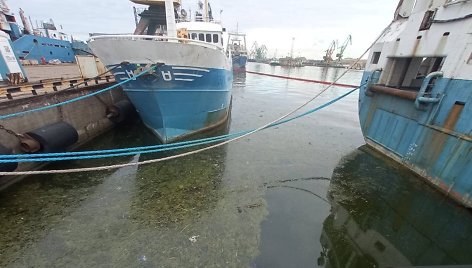 Klaipėdos uoste fiksuota vandens tarša