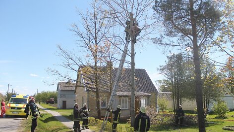 Įvykio vietoje