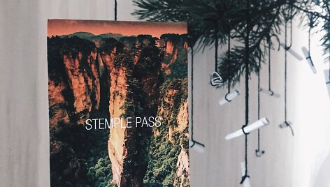 Agnės ir Aleksandro sudarytas filmų advento kalendorius &ndash; egli&scaron;akė papuo&scaron;ta įvairių filmų plakatais
