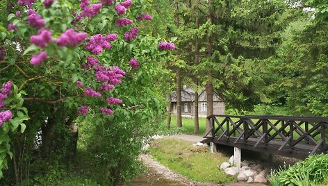 Vaiguvos upelis-gatvė